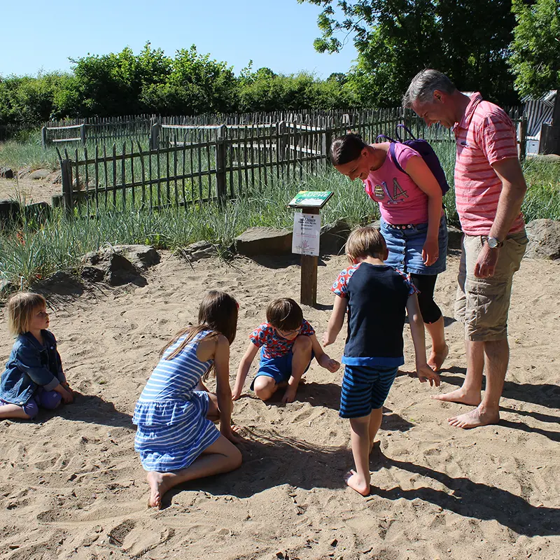 Für Gruppen uns Familien